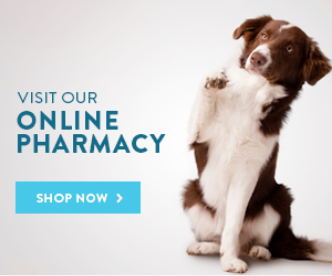 Visit our Online Pharmacy